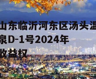 山东临沂河东区汤头温泉D-1号2024年收益权