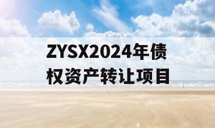 ZYSX2024年债权资产转让项目