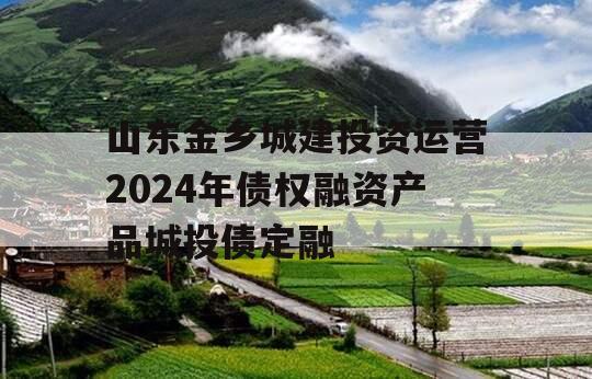 山东金乡城建投资运营2024年债权融资产品城投债定融