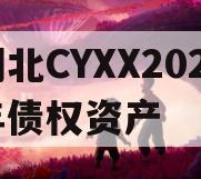 湖北CYXX2024年债权资产