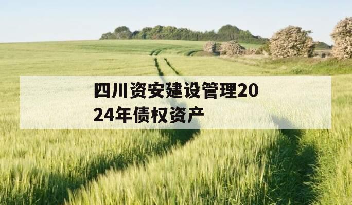 四川资安建设管理2024年债权资产