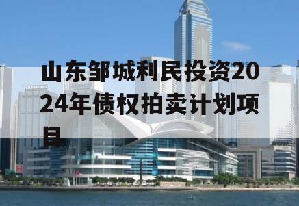 山东邹城利民投资2024年债权拍卖计划项目