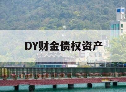 DY财金债权资产