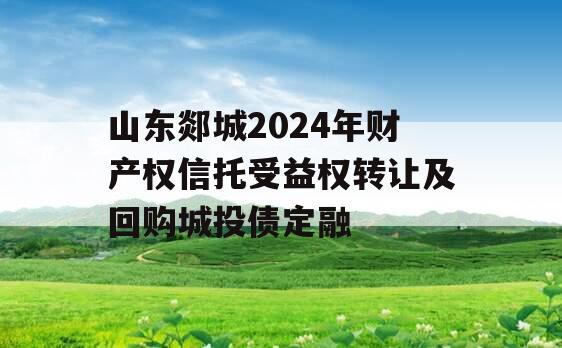 山东郯城2024年财产权信托受益权转让及回购城投债定融