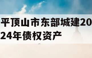 平顶山市东部城建2024年债权资产