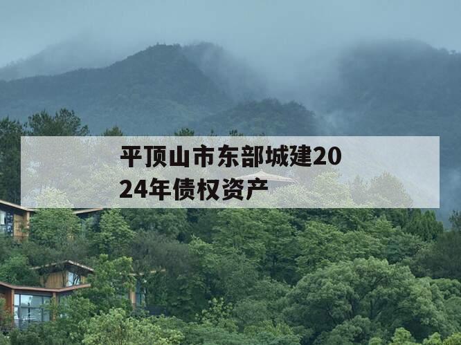 平顶山市东部城建2024年债权资产