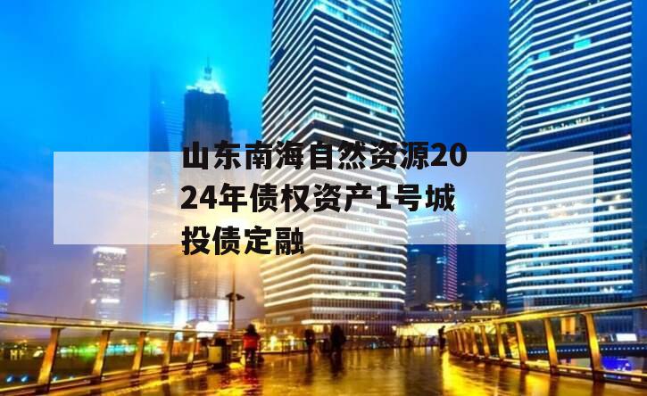 山东南海自然资源2024年债权资产1号城投债定融