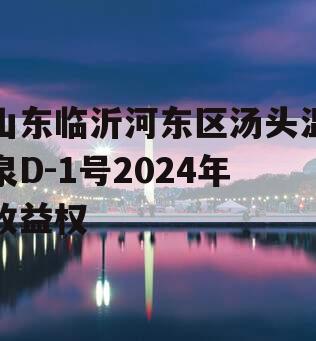 山东临沂河东区汤头温泉D-1号2024年收益权