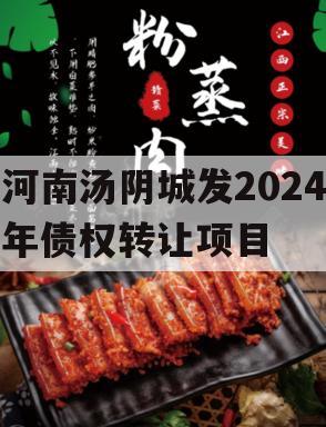 河南汤阴城发2024年债权转让项目