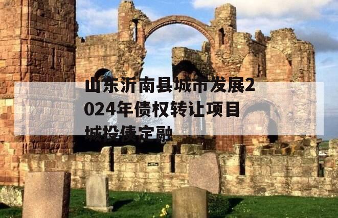 山东沂南县城市发展2024年债权转让项目城投债定融