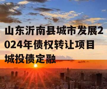 山东沂南县城市发展2024年债权转让项目城投债定融