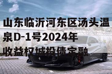 山东临沂河东区汤头温泉D-1号2024年收益权城投债定融