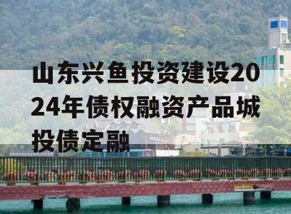 山东兴鱼投资建设2024年债权融资产品城投债定融