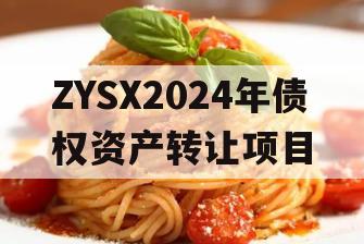 ZYSX2024年债权资产转让项目