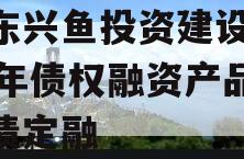 山东兴鱼投资建设2024年债权融资产品城投债定融