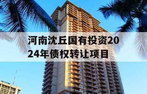 河南沈丘国有投资2024年债权转让项目