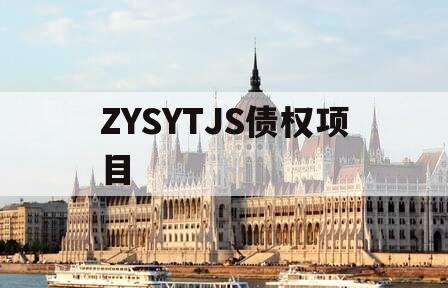 ZYSYTJS债权项目