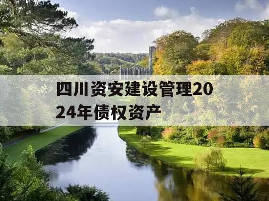 四川资安建设管理2024年债权资产