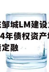 山东邹城LM建设发展2024年债权资产城投债定融